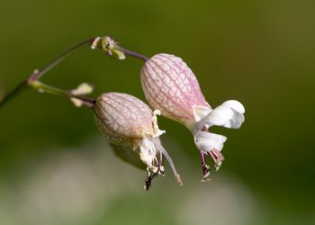 7 Tips for Effectively Managing Overactive Bladder Today