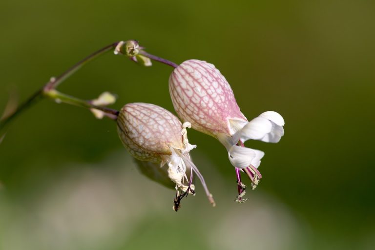 7 Tips for Effectively Managing Overactive Bladder Today