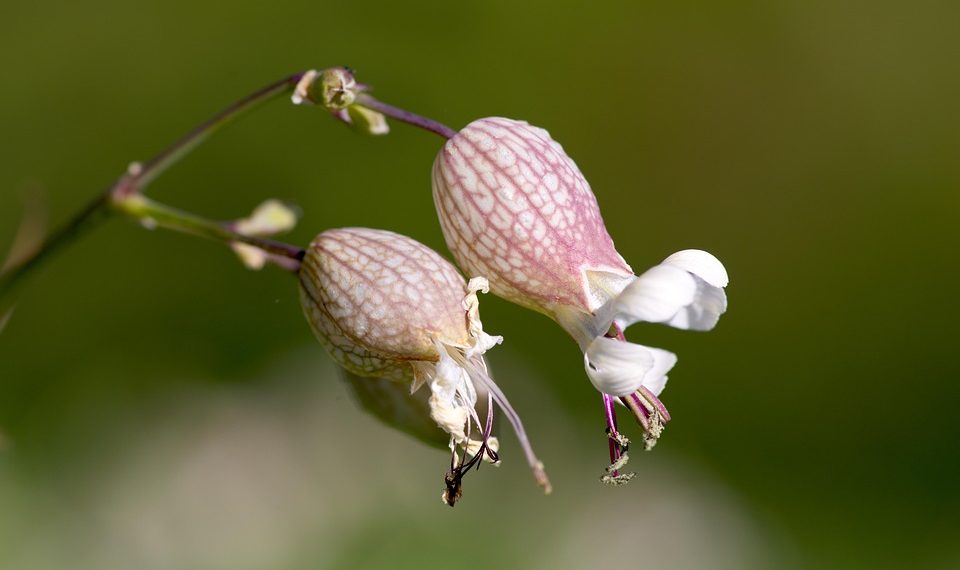 7 Tips for Effectively Managing Overactive Bladder Today