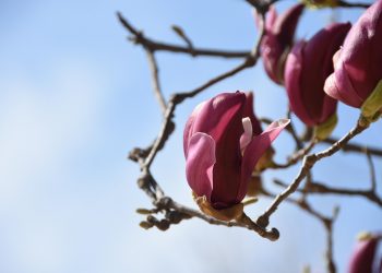 7 Tips to Tackle Frequent Urination Naturally