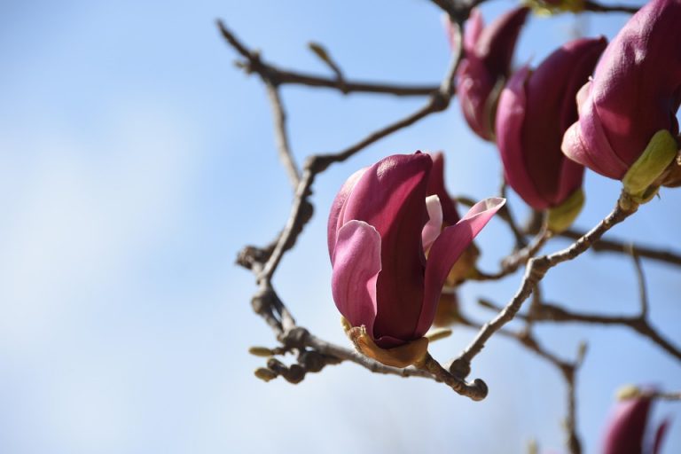 7 Tips to Tackle Frequent Urination Naturally