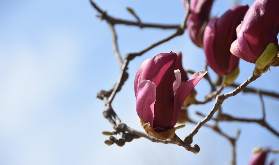 7 Tips to Tackle Frequent Urination Naturally