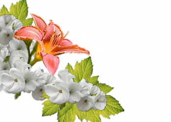 7 Ways Moringa Boosts Your Digestion Naturally!