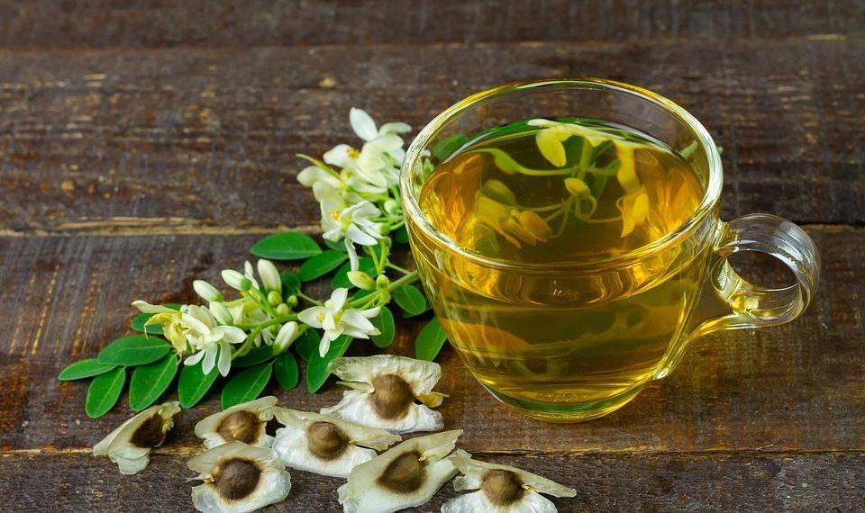 7 Ways Moringa Boosts Your Energy Naturally