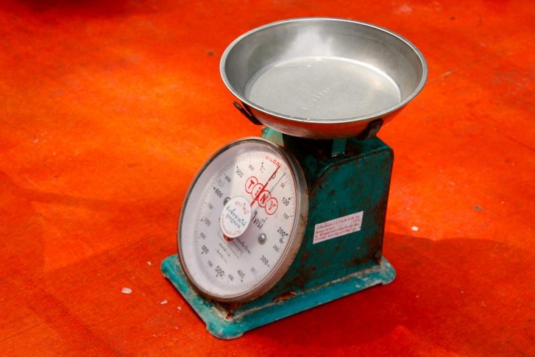 7 Ways Moringa Boosts Your Weight Loss Journey