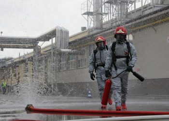 7 Ways Moringa Helps Sexually Boost Your Performance