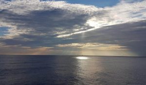 7 Ways Wellness Coaching Transforms Your Life Today