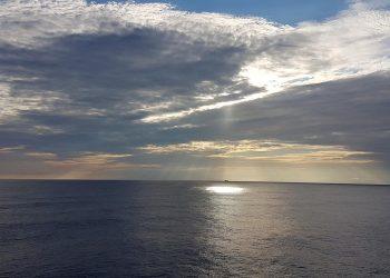 7 Ways Wellness Coaching Transforms Your Life Today