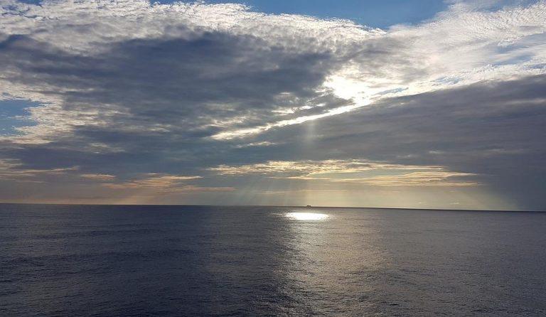 7 Ways Wellness Coaching Transforms Your Life Today