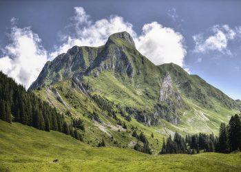 7 Wellness Goals to Transform Your Life Today