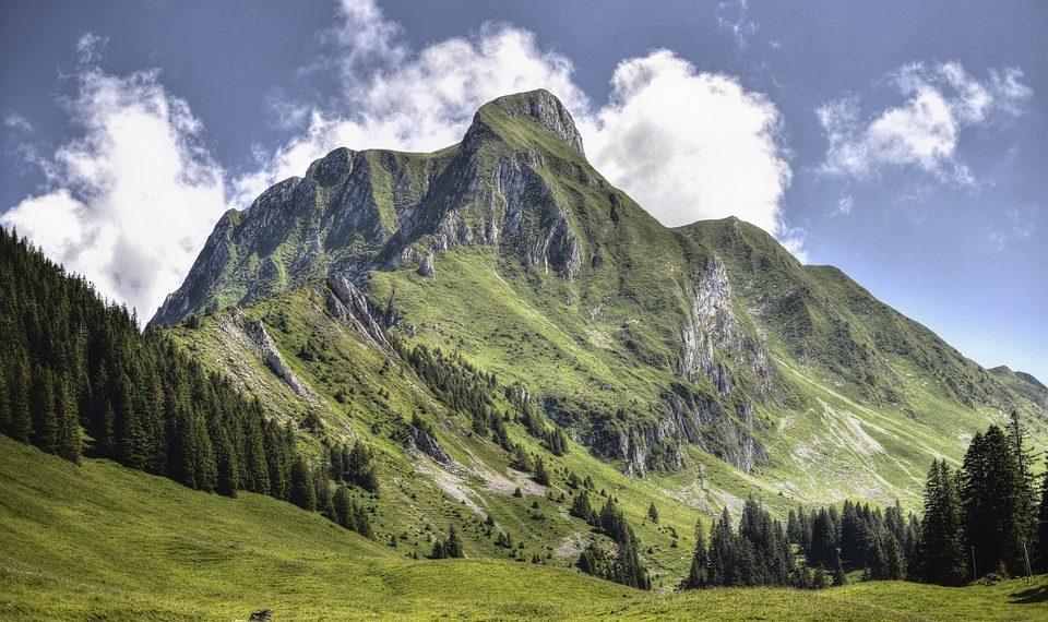 7 Wellness Goals to Transform Your Life Today