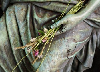 10 Anti-Aging Foods That Make You Look Younger Fast