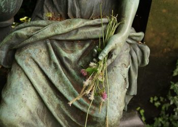 10 Anti-Aging Foods That Turn Back Time on Your Skin