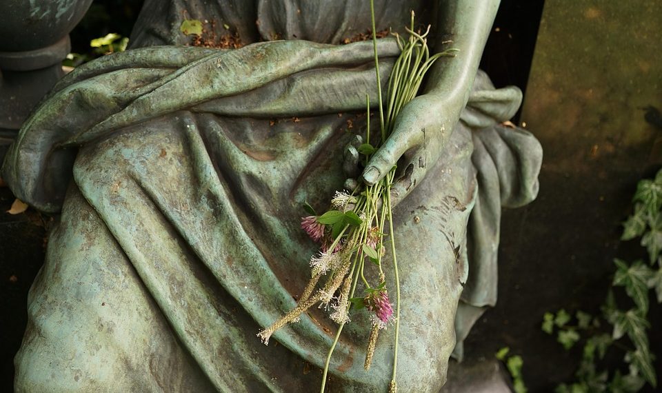 10 Anti-Aging Foods That Turn Back Time on Your Skin