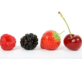 10 Antioxidant-Rich Snacks You Need to Try Today!