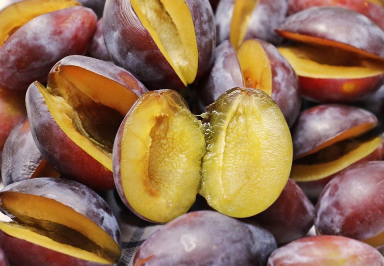 10 Delicious Vitamin E-Rich Foods You Need to Try