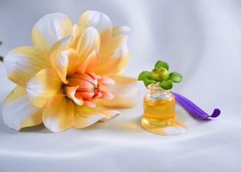 Dahlia flower and essential oil on a white surface.