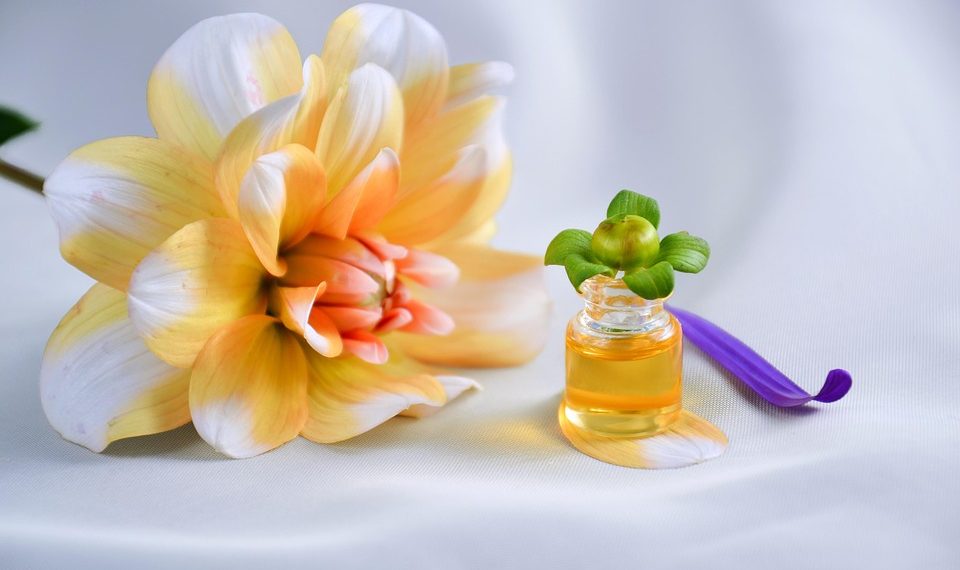 Dahlia flower and essential oil on a white surface.