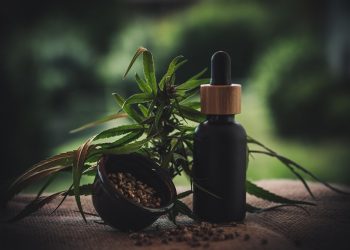 10 Immune-Boosting Superfoods You Need Today!