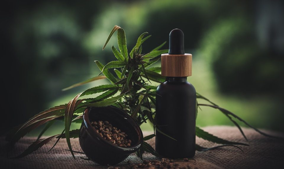 10 Immune-Boosting Superfoods You Need Today!