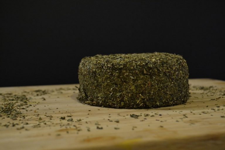 10 Irresistible Dairy-Free Options You Must Try Today!