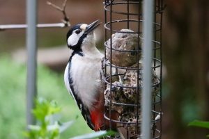 10 Natural Foods to Boost Your Energy Instantly