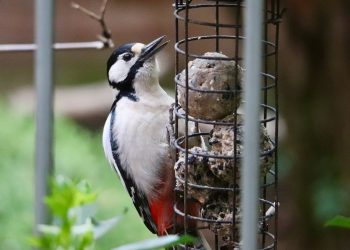 10 Natural Foods to Boost Your Energy Instantly