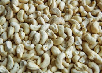 10 Natural High-Protein Diets for Ultimate Energy Boost