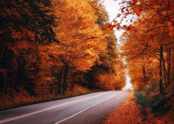 10 Natural Ways to Boost Metabolism Fast!