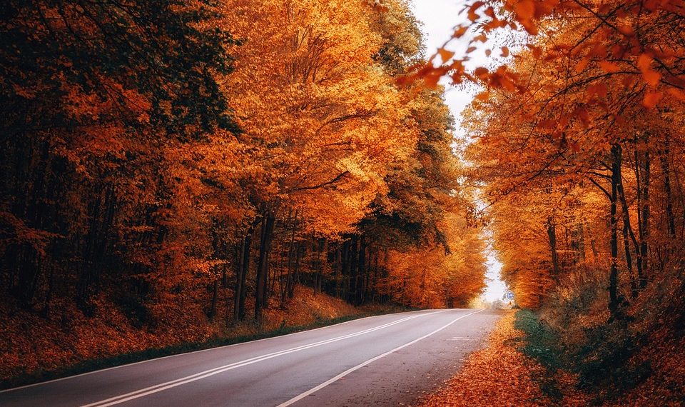 10 Natural Ways to Boost Metabolism Fast!