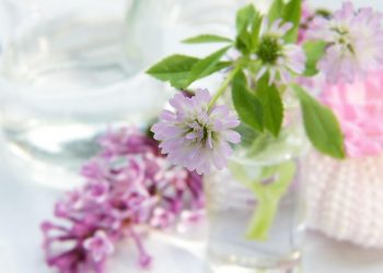 10 Personal Wellness Goals to Transform Your Life Today