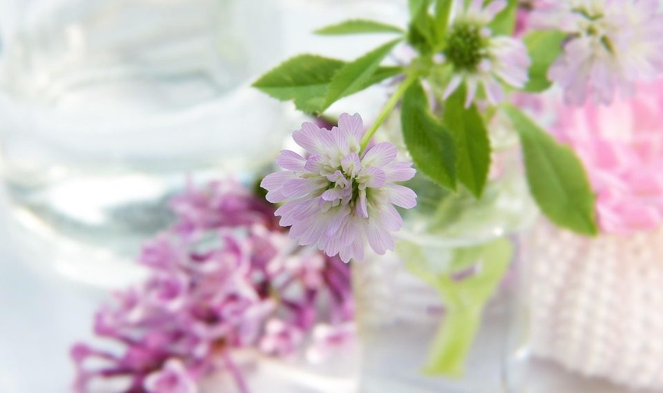 10 Personal Wellness Goals to Transform Your Life Today