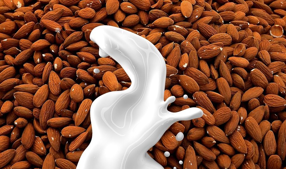 10 Surprising Benefits of a Plant-Based Diet You’ll Love