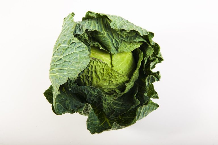 10 Ways Green Vegetable Power Boosts Your Health Today!