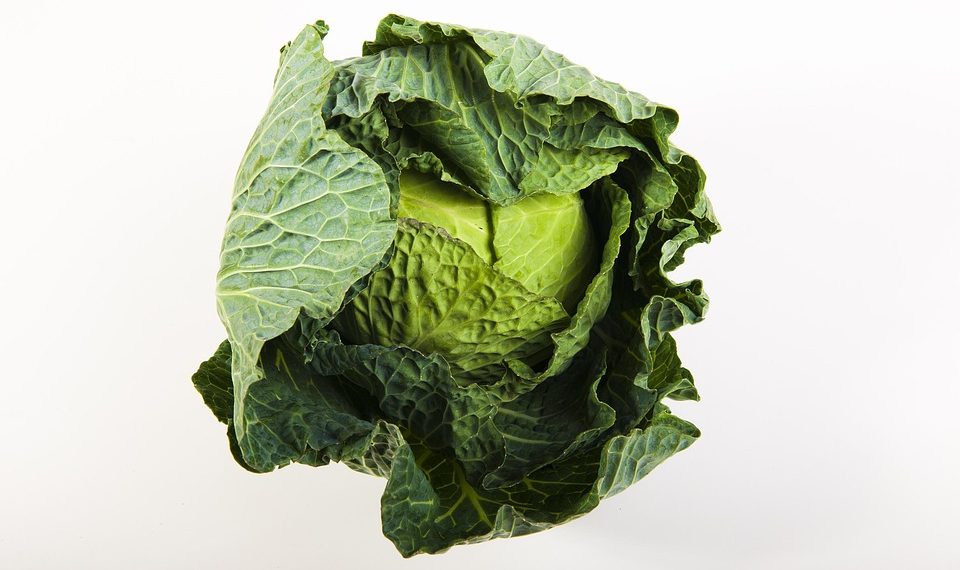 10 Ways Green Vegetable Power Boosts Your Health Today!