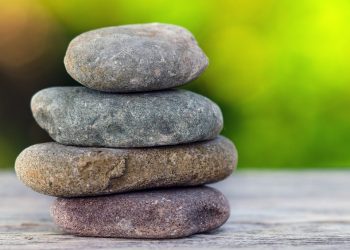 10 Wellness Healing Foods for Ultimate Vitality Boost