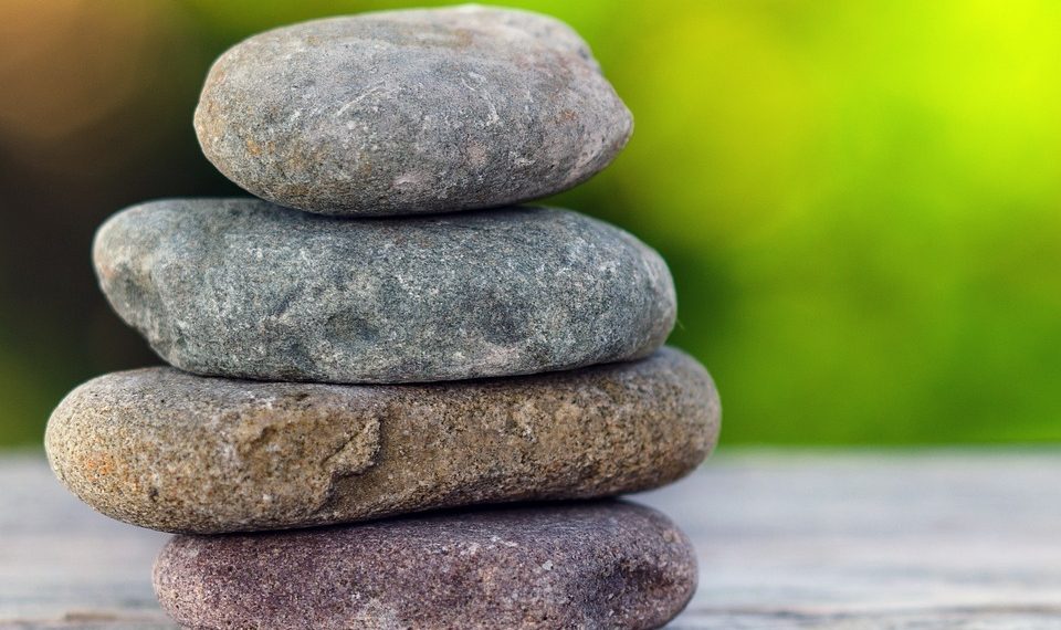 10 Wellness Healing Foods for Ultimate Vitality Boost