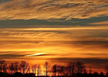 7 Evening Routines for Better Sleep Tonight