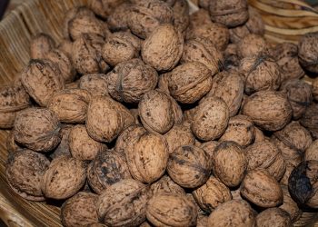 7 Healthy Fats for Brain Health You Need to Know