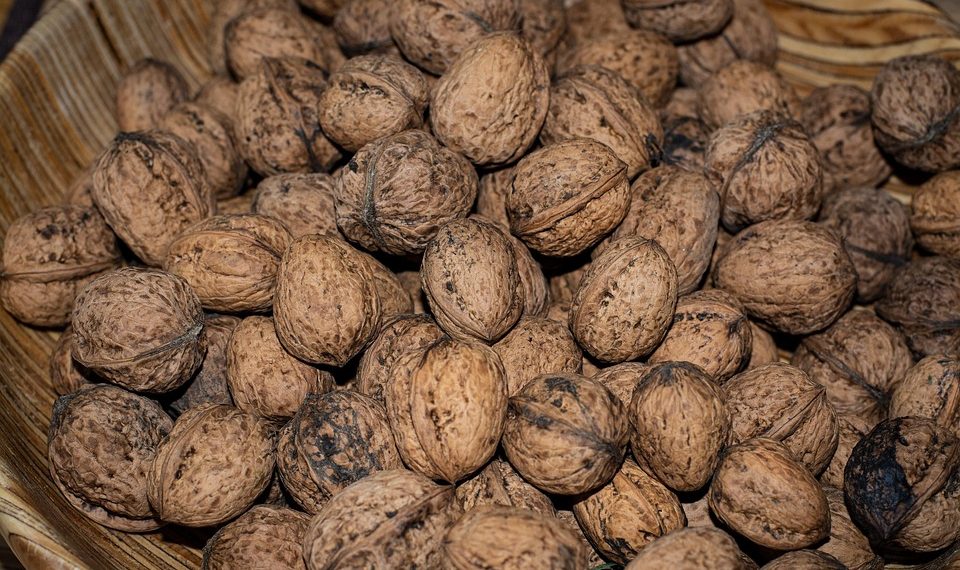 7 Healthy Fats for Brain Health You Need to Know