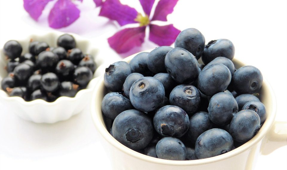 7 Low-Carb Natural Diets for Effortless Weight Loss