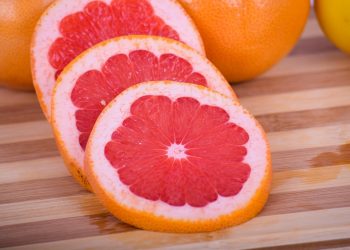 7 Probiotics for Gut Health You Need to Try Today!