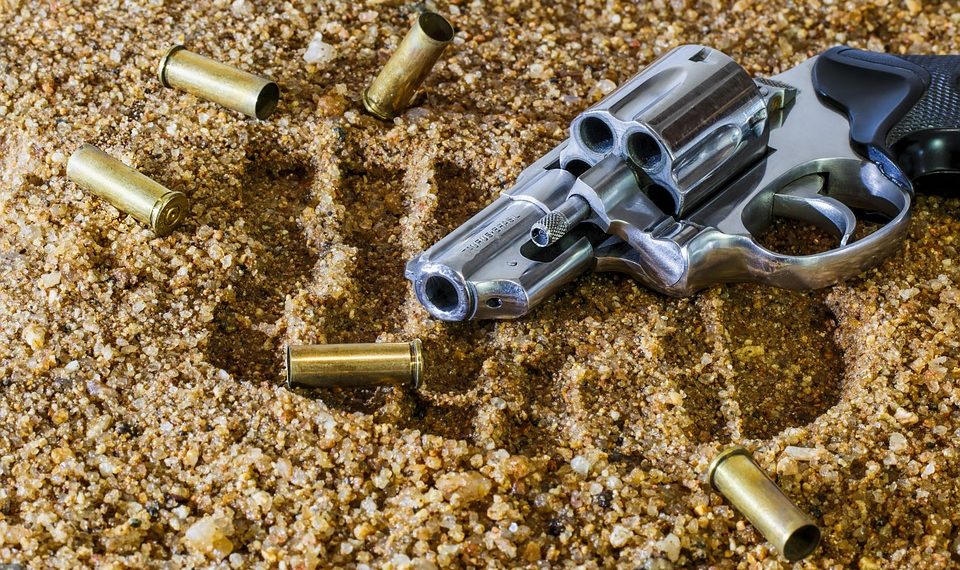 7 Reasons Elderberry Boosts Your Immune Defense Today