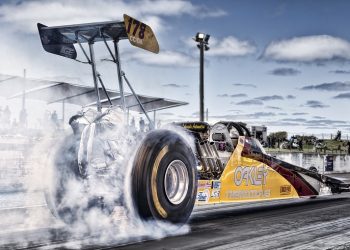 7 Reasons Rhodiola for Burnout Will Change Your Life