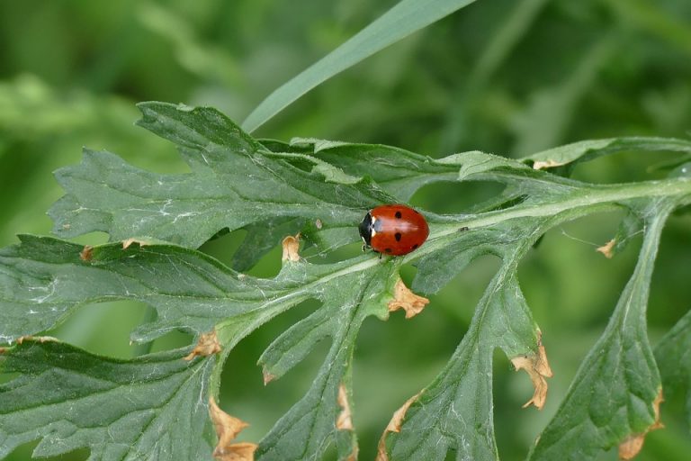 7 Secrets of Natural Appetite Control You Need to Know