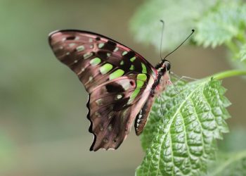 7 Secrets to Losing Weight with Ease Today!