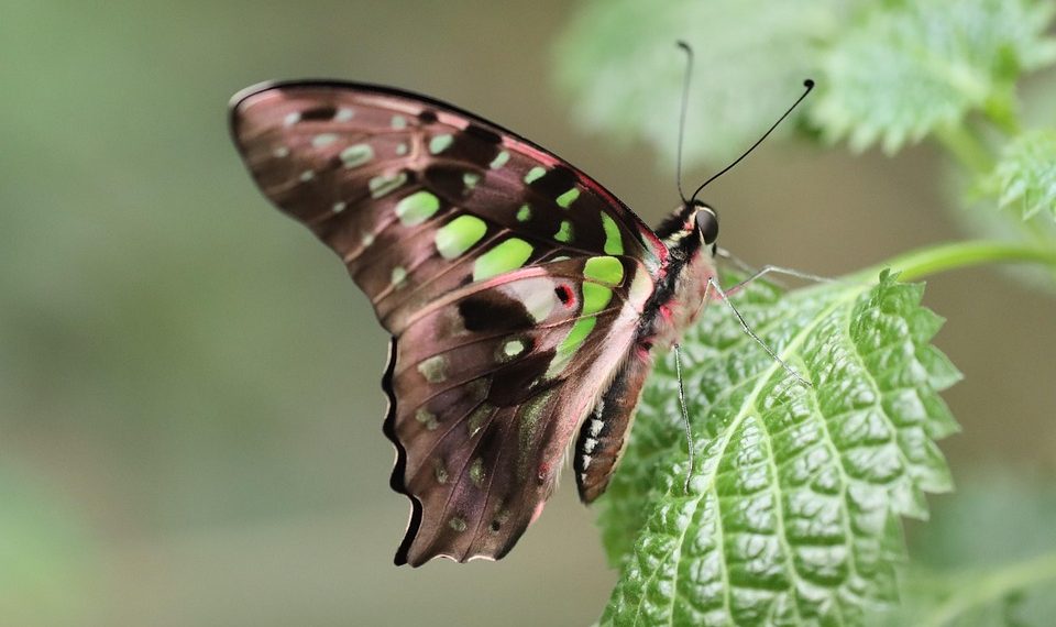 7 Secrets to Losing Weight with Ease Today!