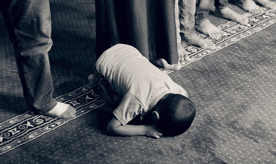 7 Surprising Benefits of Bacopa for Concentration