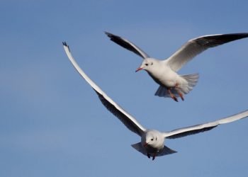 7 Surprising Ways Thyroid Affects Your Metabolism