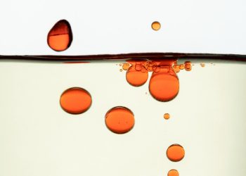Red oil droplets floating in clear liquid.